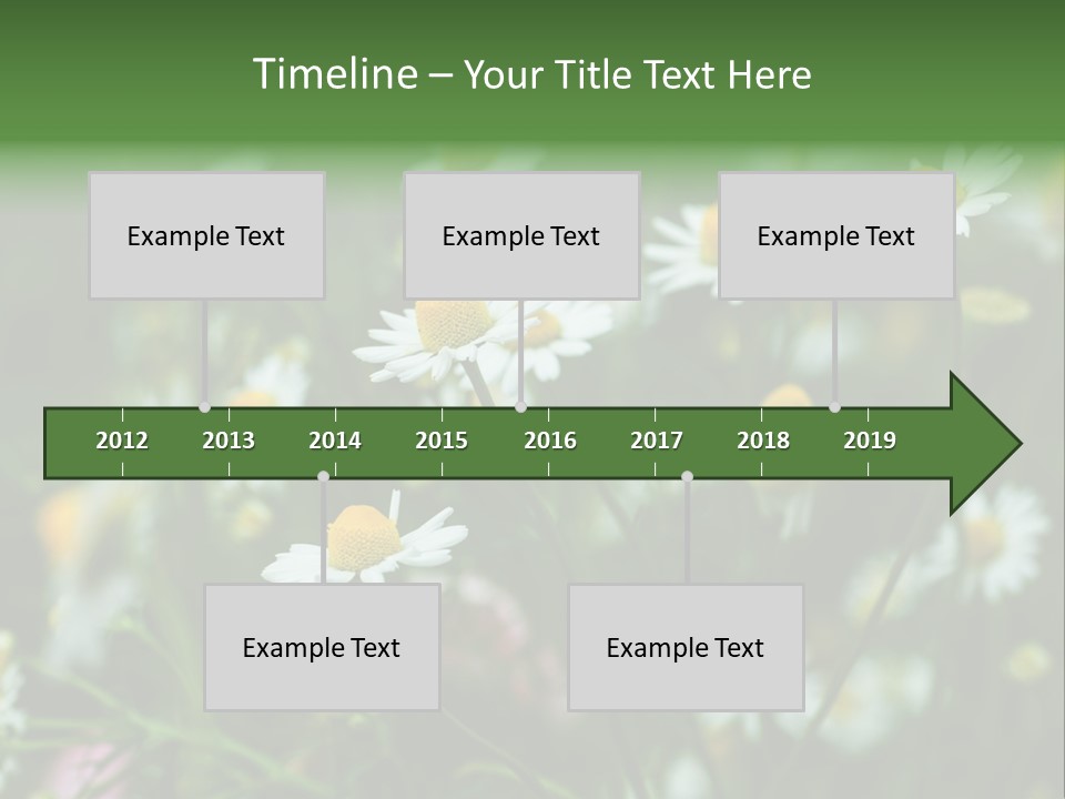 A Field Of Daisies PowerPoint Template