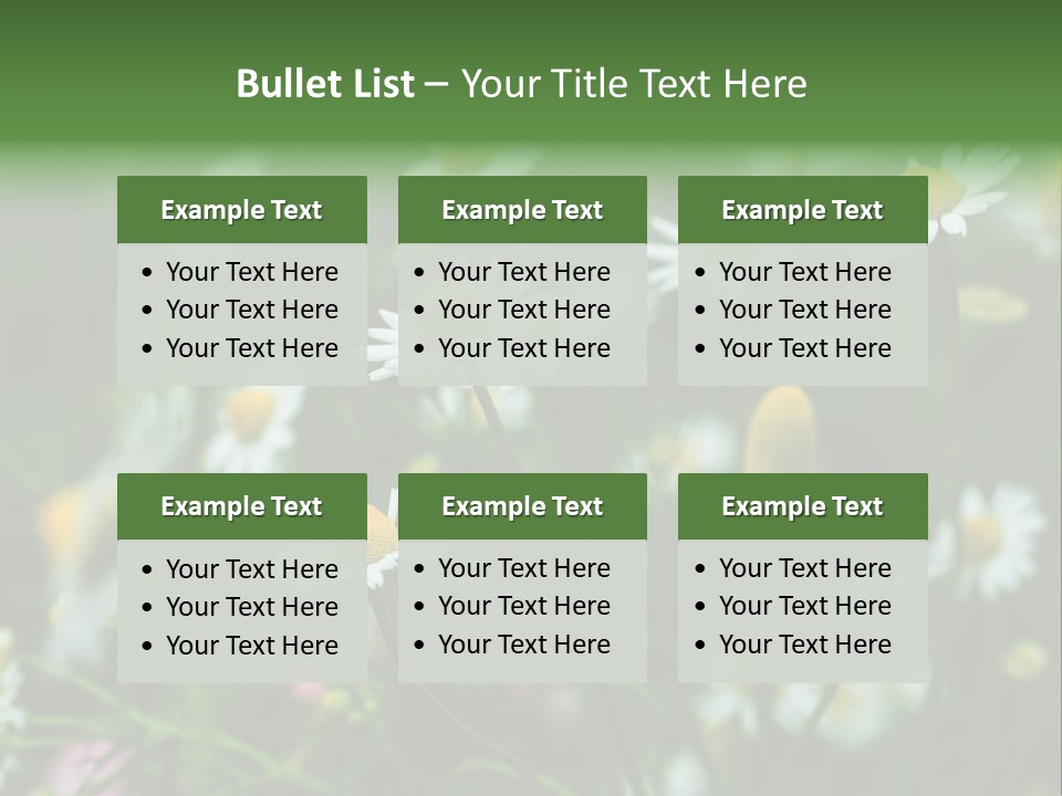 A Field Of Daisies PowerPoint Template