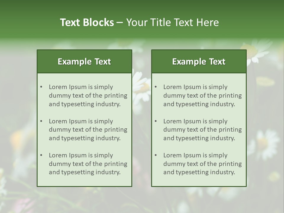 A Field Of Daisies PowerPoint Template