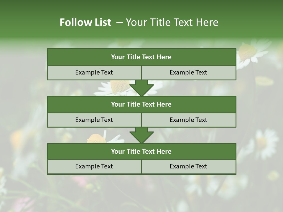 A Field Of Daisies PowerPoint Template