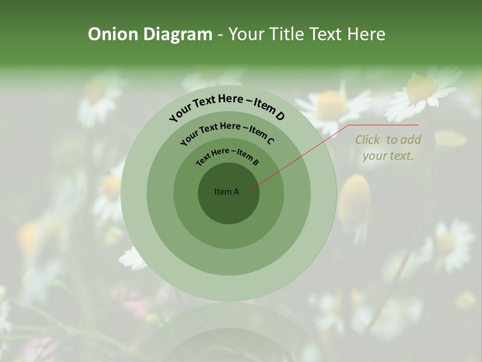 A Field Of Daisies PowerPoint Template