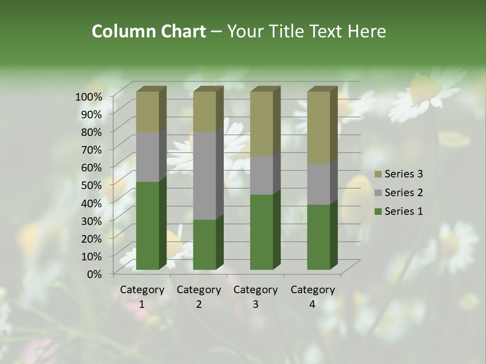 A Field Of Daisies PowerPoint Template