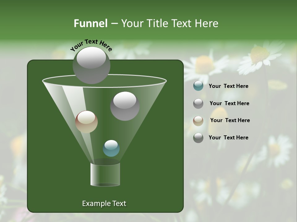 A Field Of Daisies PowerPoint Template