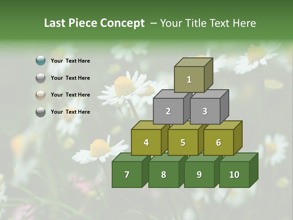 A Field Of Daisies PowerPoint Template