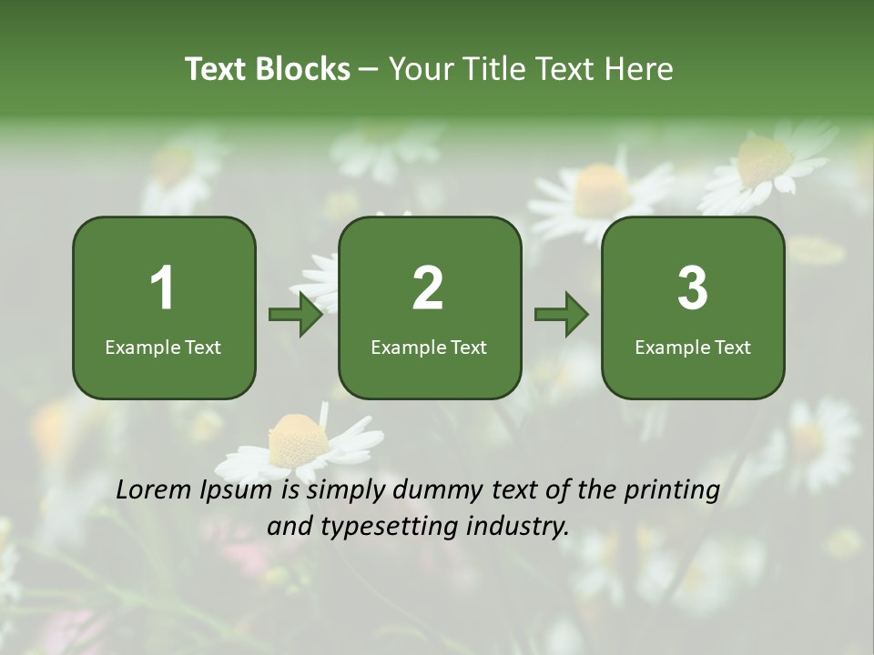 A Field Of Daisies PowerPoint Template