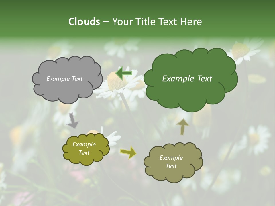 A Field Of Daisies PowerPoint Template