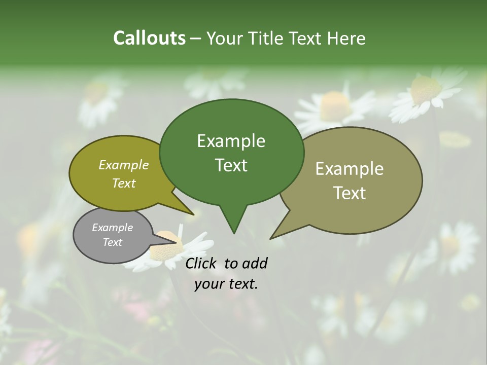 A Field Of Daisies PowerPoint Template