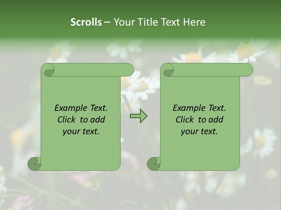 A Field Of Daisies PowerPoint Template
