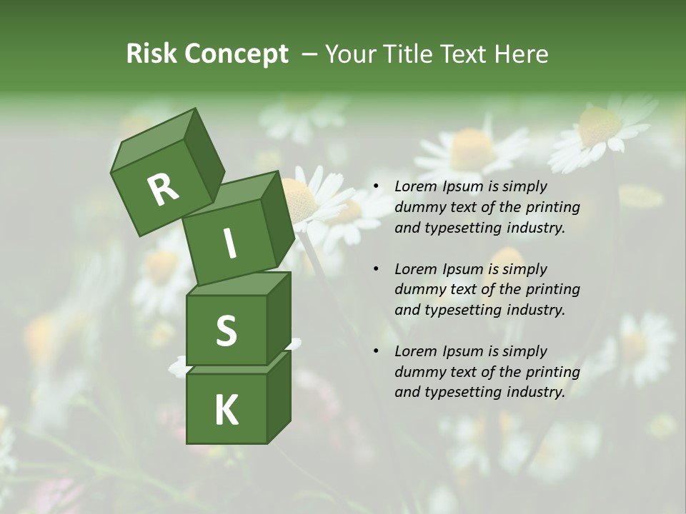 A Field Of Daisies PowerPoint Template