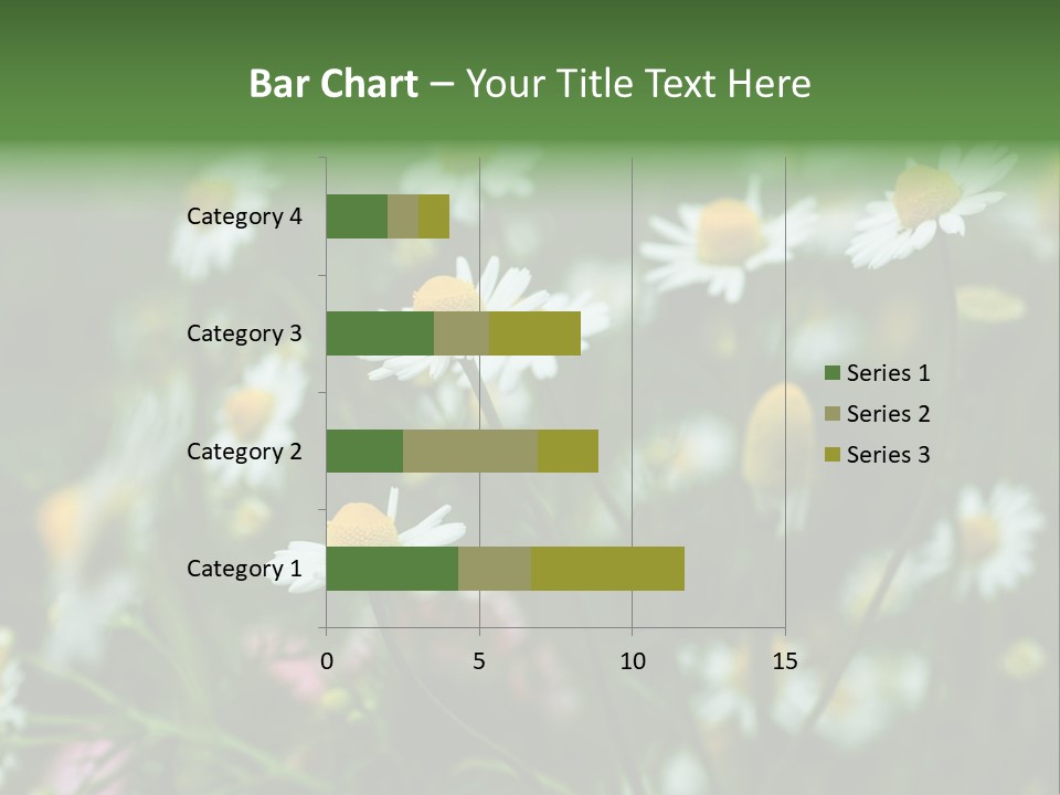 A Field Of Daisies PowerPoint Template