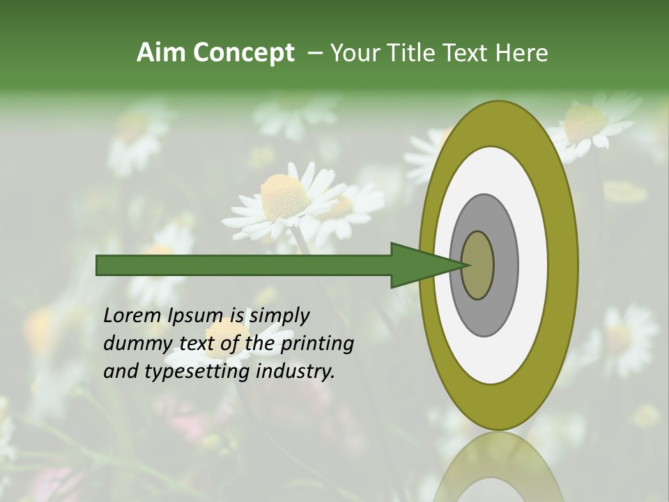 A Field Of Daisies PowerPoint Template