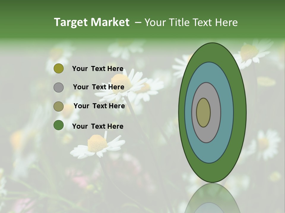 A Field Of Daisies PowerPoint Template