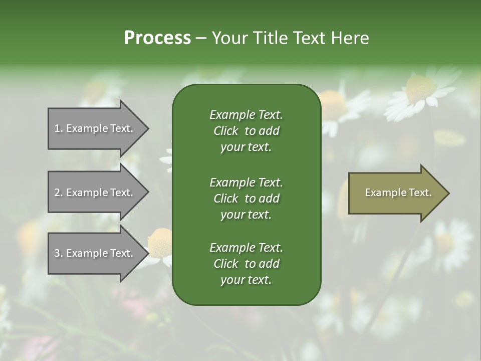 A Field Of Daisies PowerPoint Template
