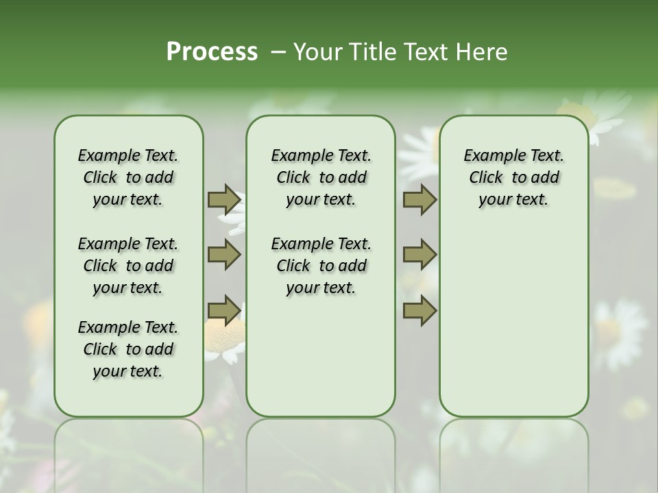 A Field Of Daisies PowerPoint Template