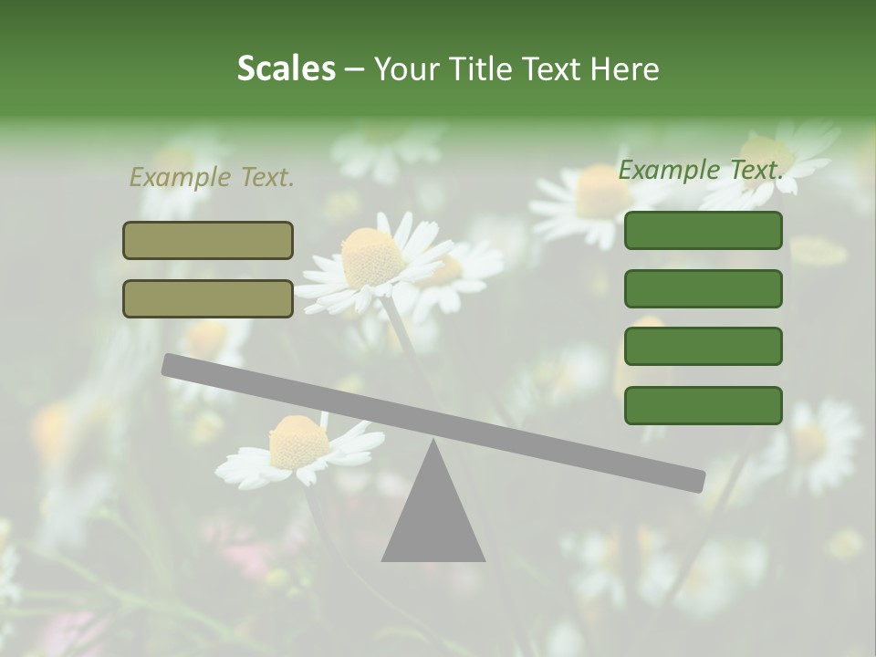 A Field Of Daisies PowerPoint Template