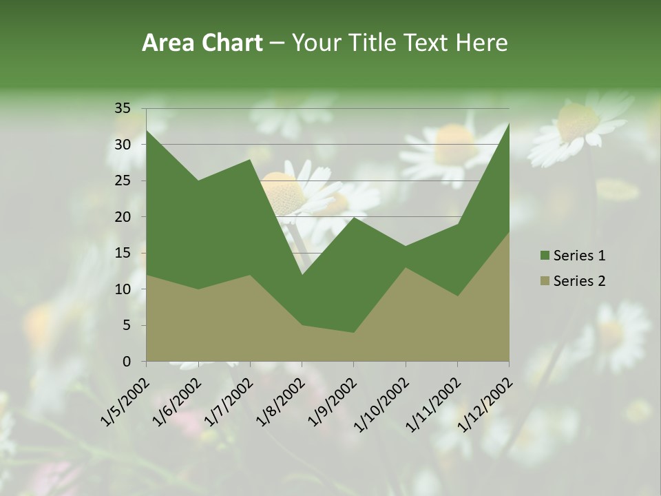 A Field Of Daisies PowerPoint Template
