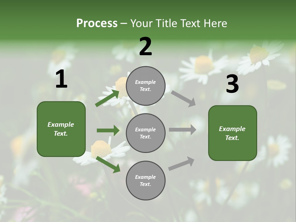 A Field Of Daisies PowerPoint Template
