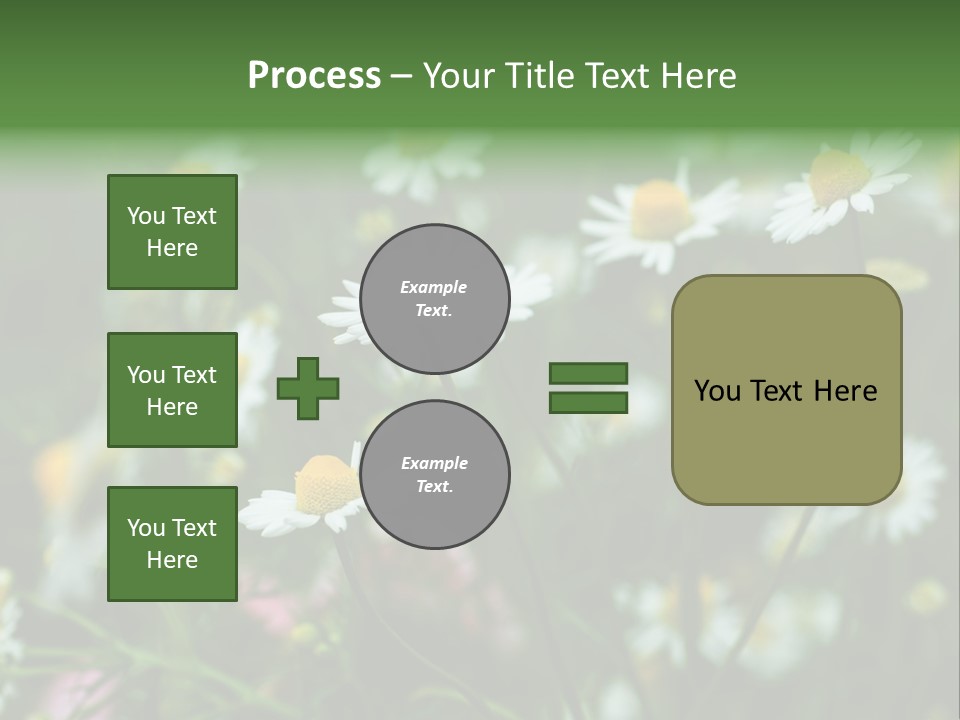 A Field Of Daisies PowerPoint Template