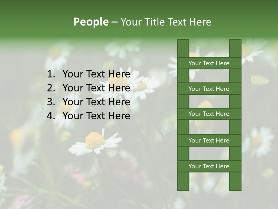 A Field Of Daisies PowerPoint Template