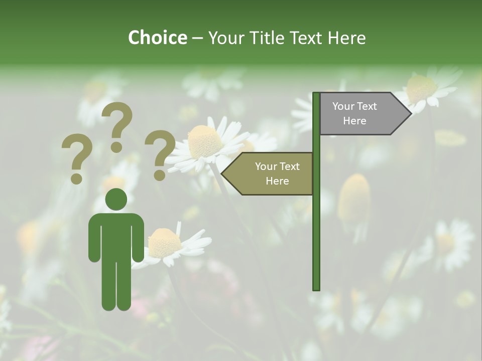 A Field Of Daisies PowerPoint Template