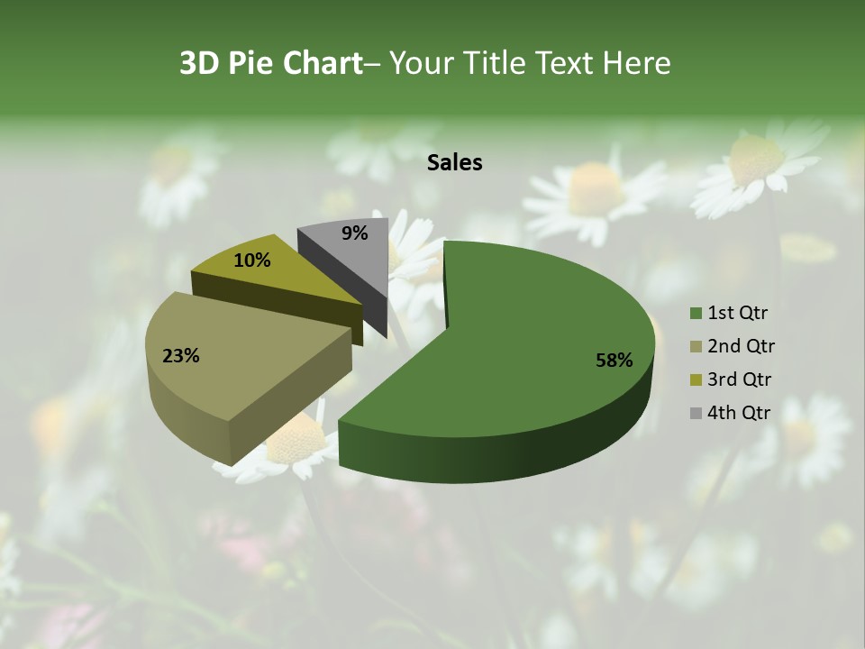 A Field Of Daisies PowerPoint Template