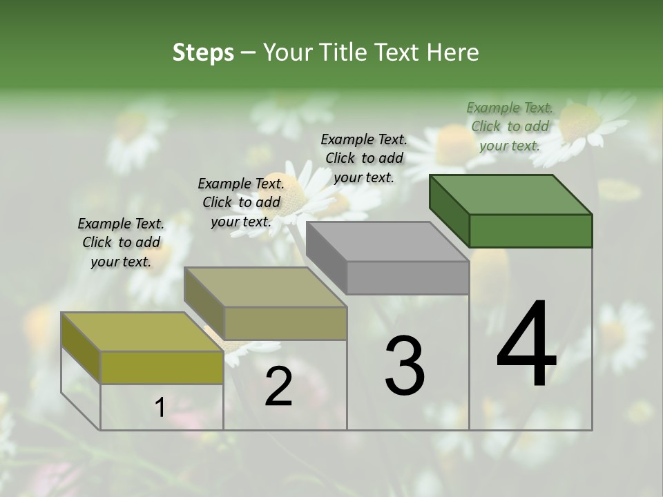 A Field Of Daisies PowerPoint Template
