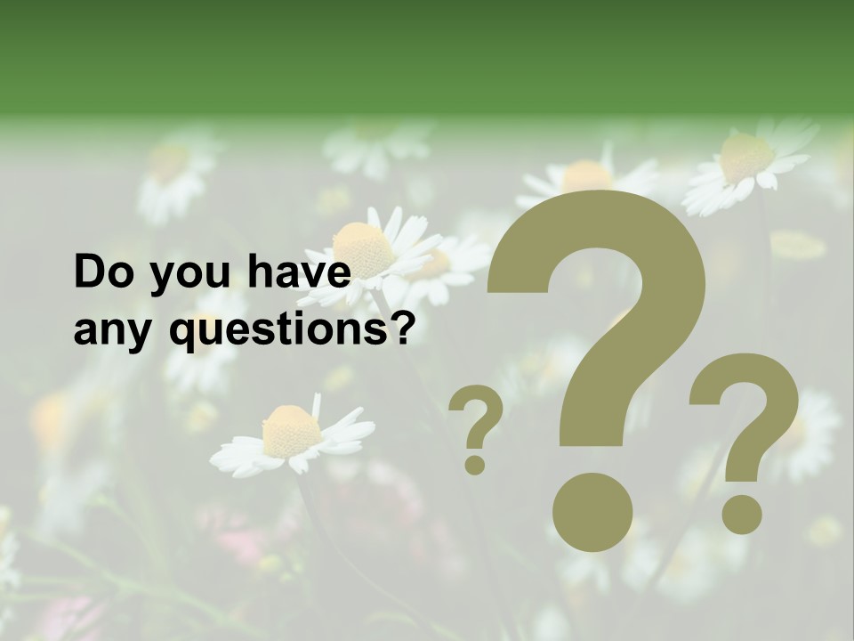 A Field Of Daisies PowerPoint Template