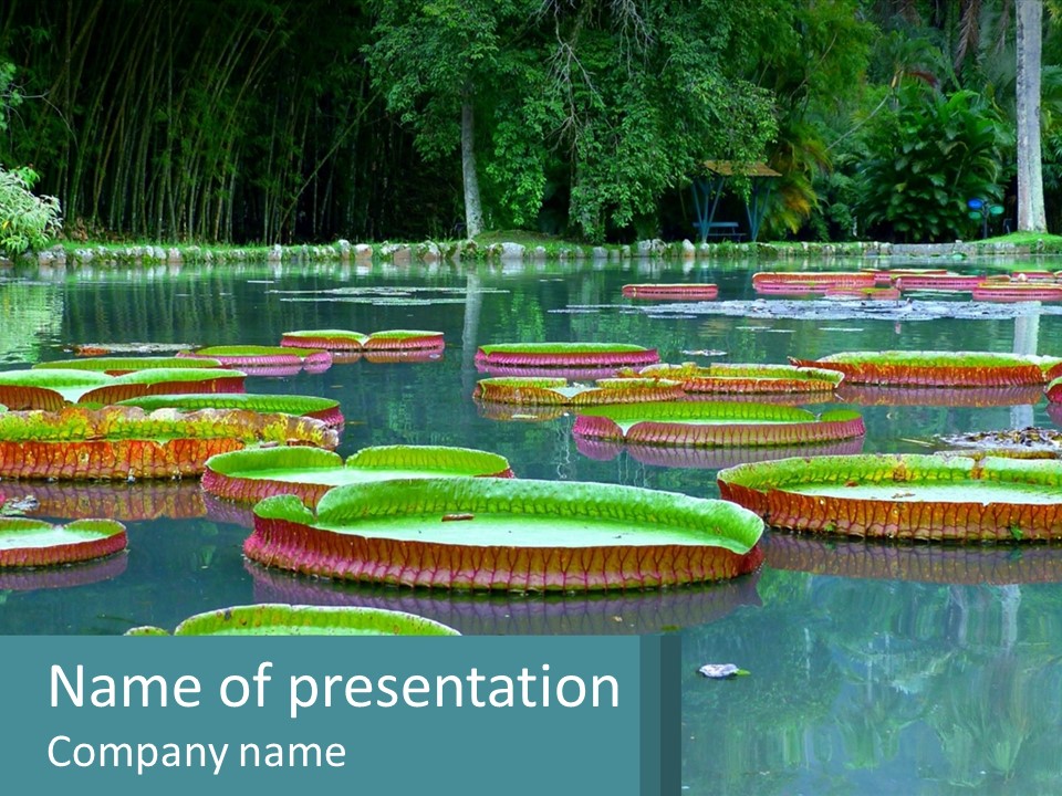 Lake In The Park PowerPoint Template