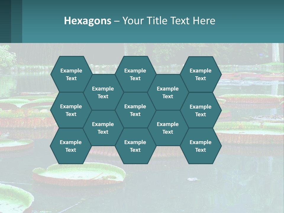 Lake In The Park PowerPoint Template