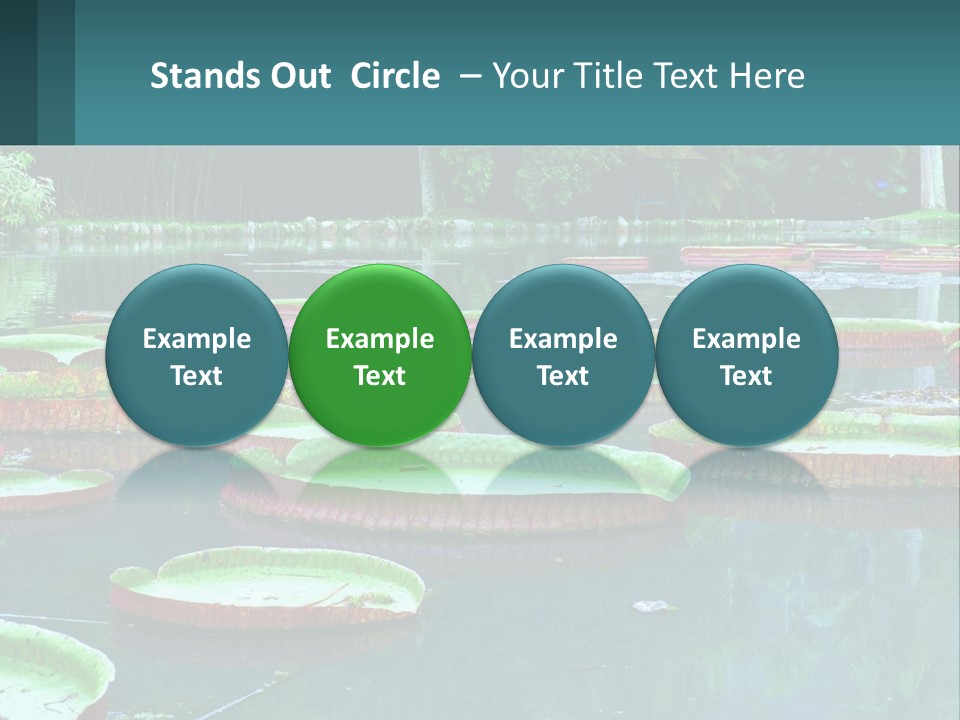 Lake In The Park PowerPoint Template