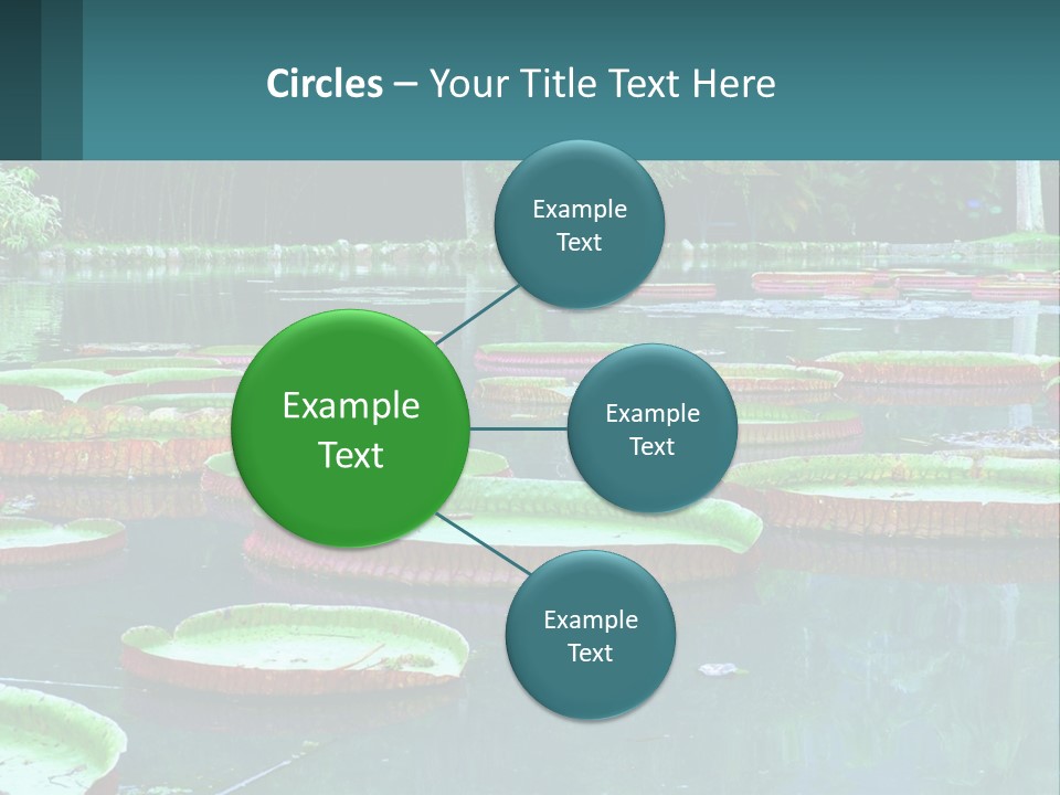 Lake In The Park PowerPoint Template