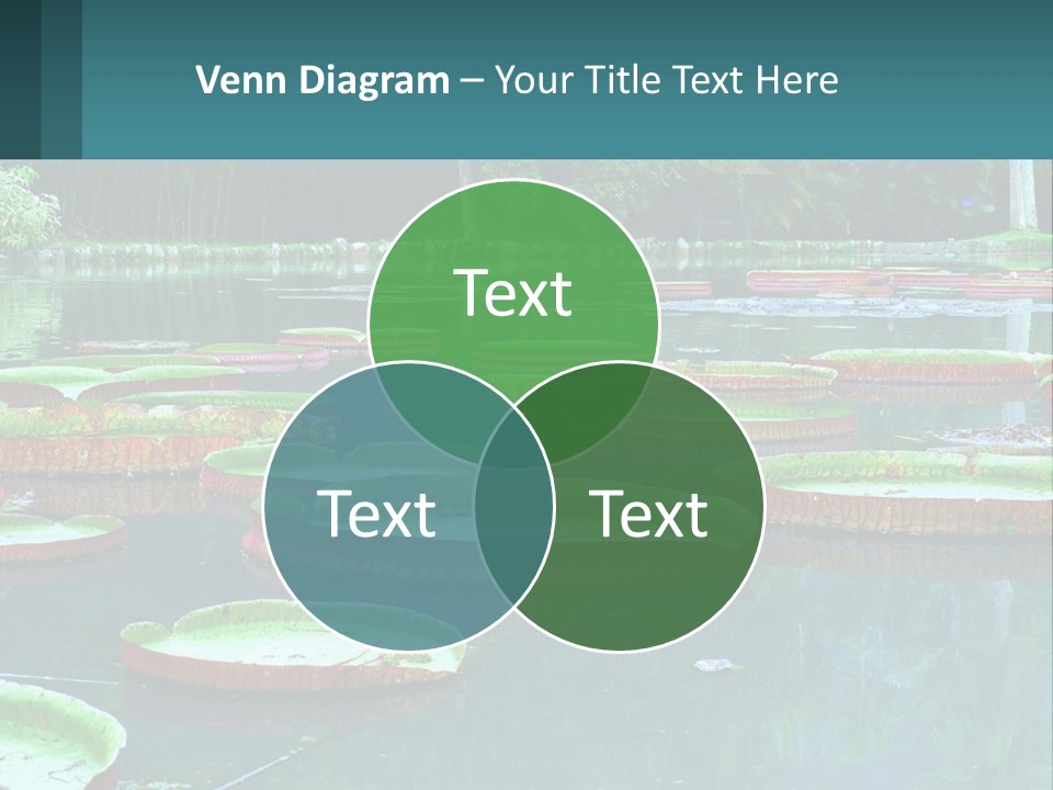 Lake In The Park PowerPoint Template