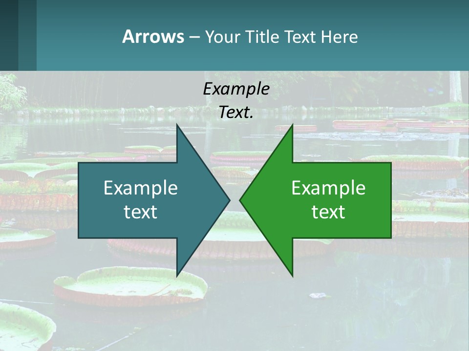 Lake In The Park PowerPoint Template