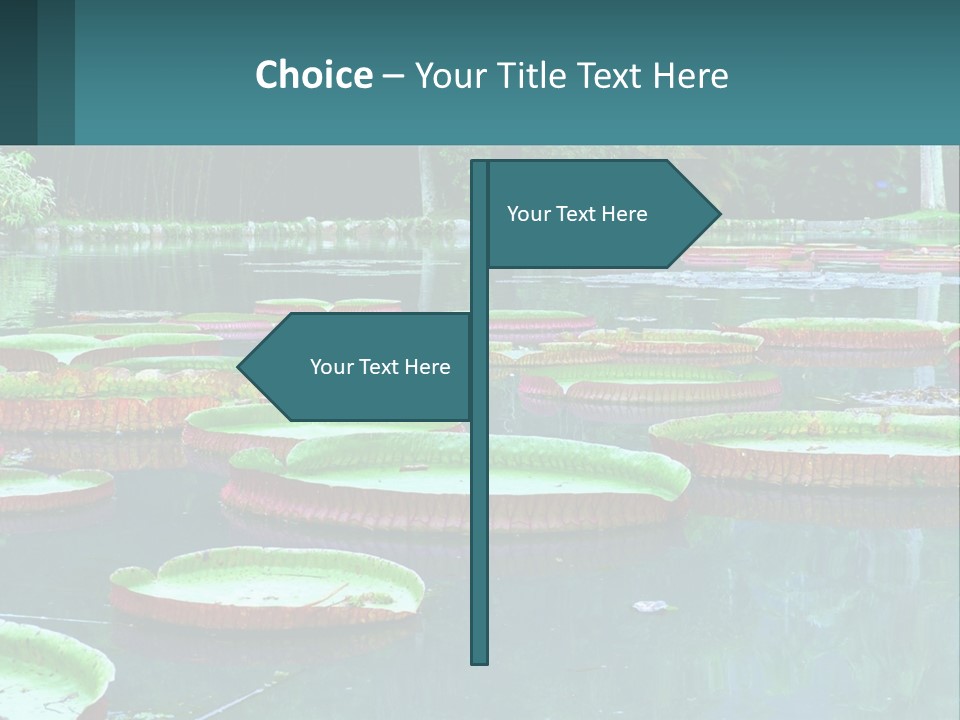 Lake In The Park PowerPoint Template