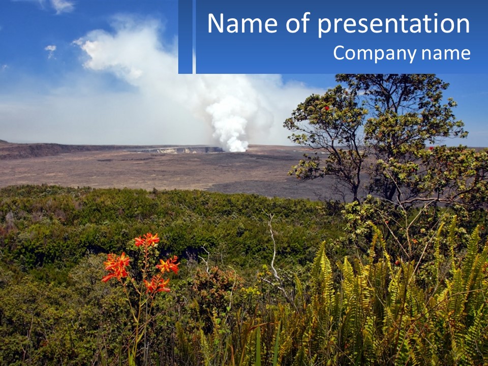 Forest Park PowerPoint Template