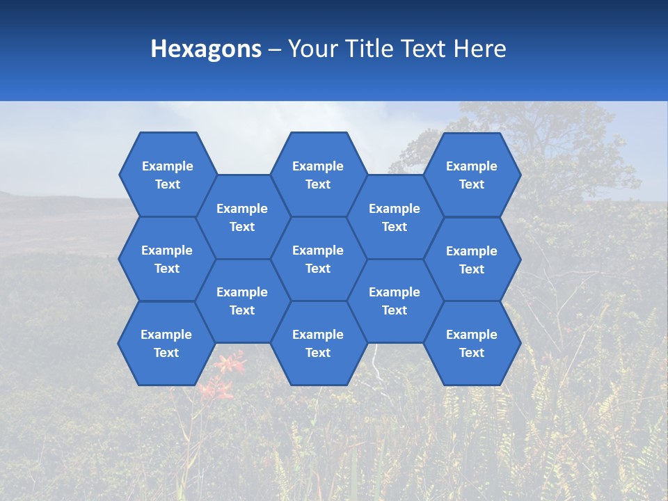 Forest Park PowerPoint Template