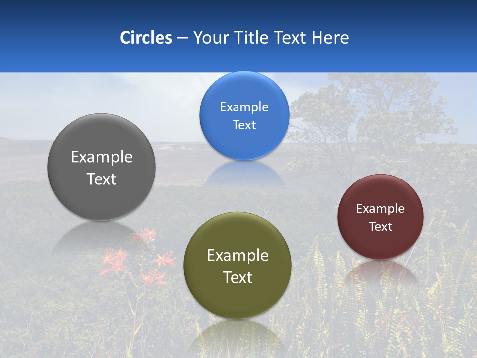 Forest Park PowerPoint Template