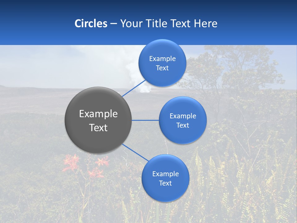 Forest Park PowerPoint Template