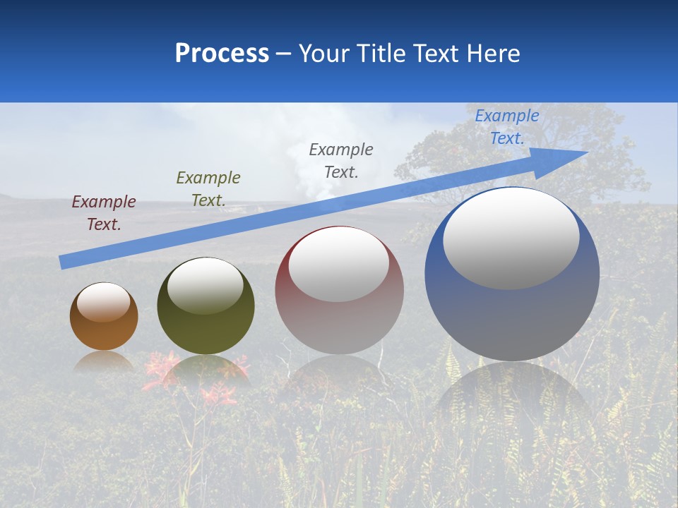 Forest Park PowerPoint Template