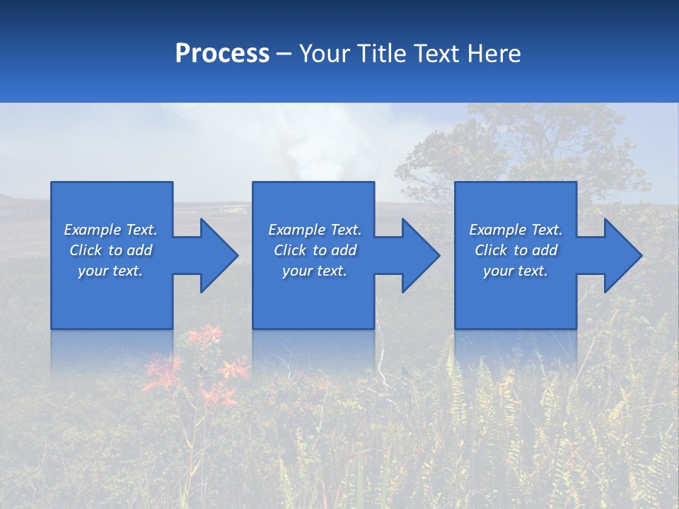 Forest Park PowerPoint Template