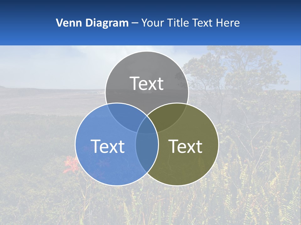 Forest Park PowerPoint Template