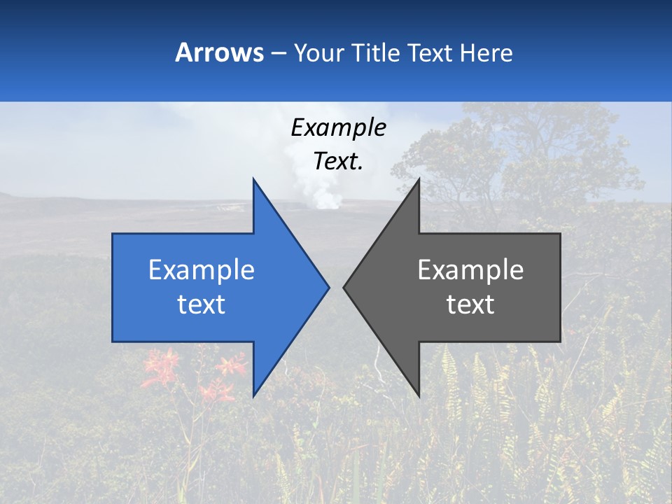 Forest Park PowerPoint Template