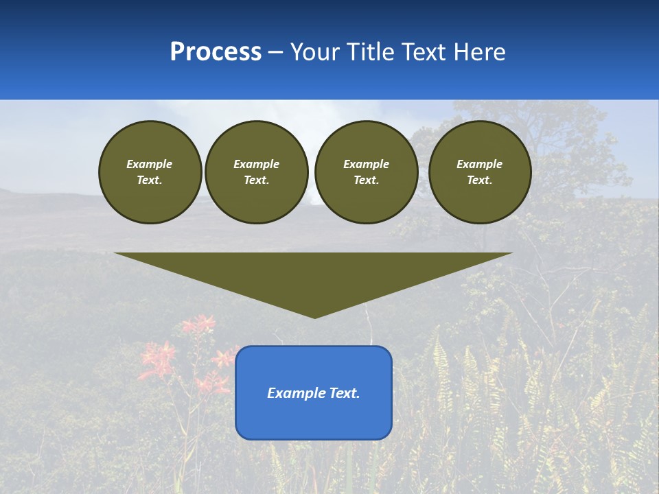 Forest Park PowerPoint Template
