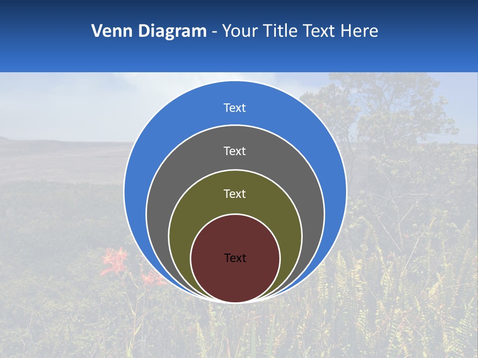 Forest Park PowerPoint Template