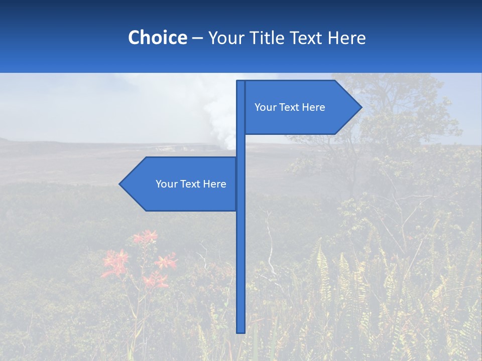 Forest Park PowerPoint Template