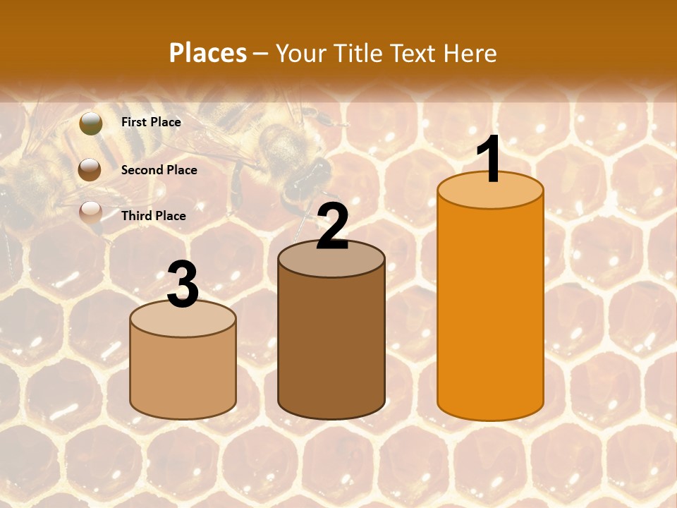 Bees On Combs PowerPoint Template