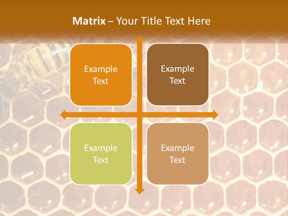 Bees On Combs PowerPoint Template