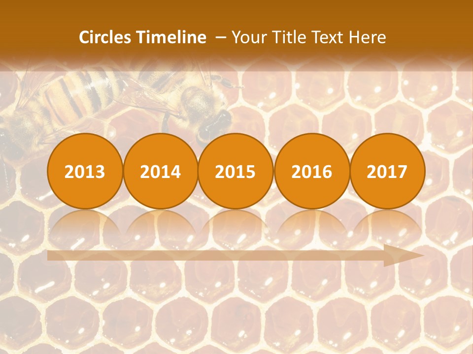 Bees On Combs PowerPoint Template