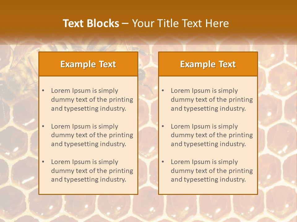 Bees On Combs PowerPoint Template