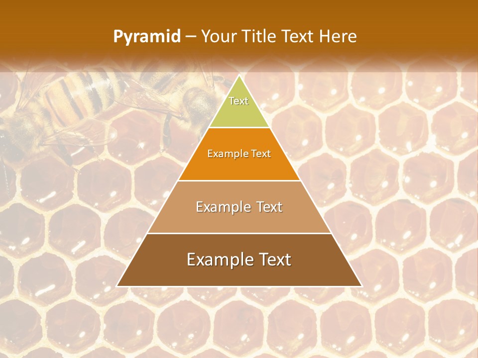 Bees On Combs PowerPoint Template